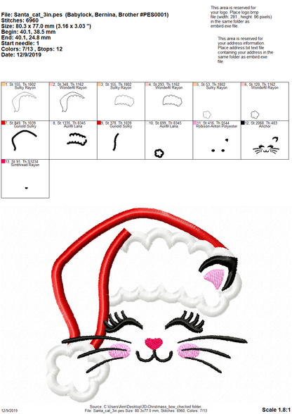 Christmas Kitty Cat with Santa Hat