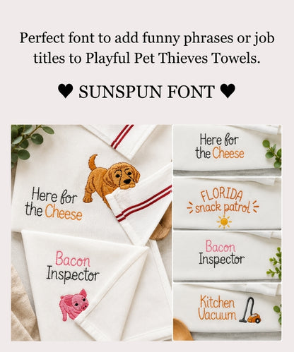 Hand stitch effect Font Sunspun