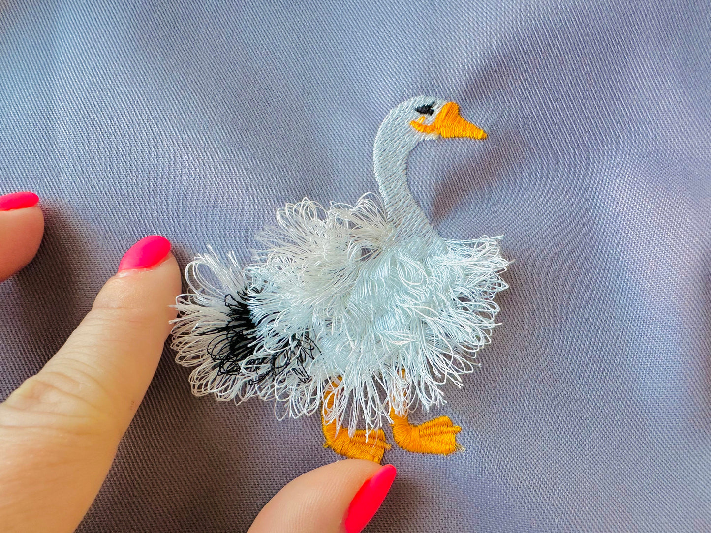 Fringed Goose Farm Bird