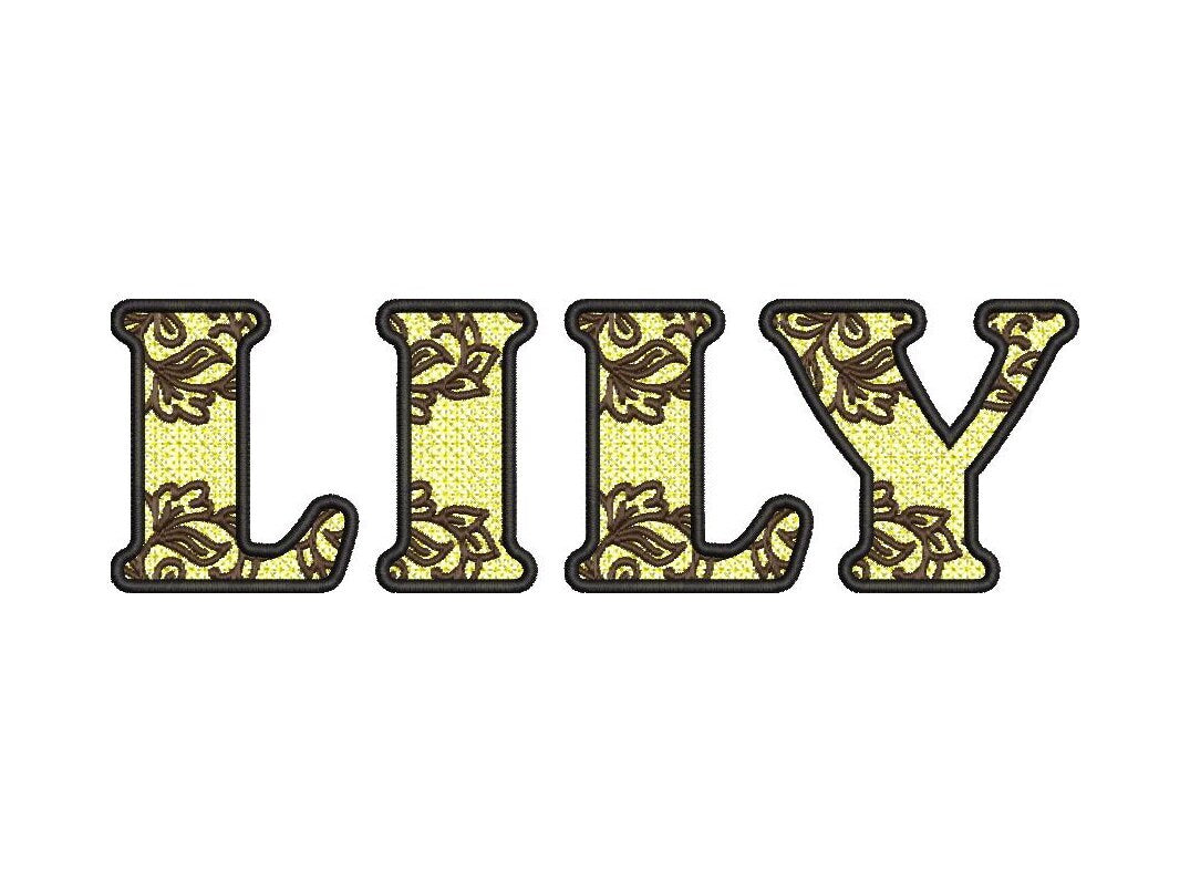 Delicate Lace Monogram Font FSL