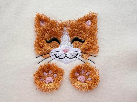 Adorable Little Fringed Kitten Kitty Cat