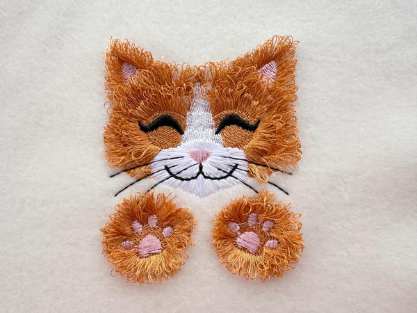 Adorable Little Fringed Kitten Kitty Cat