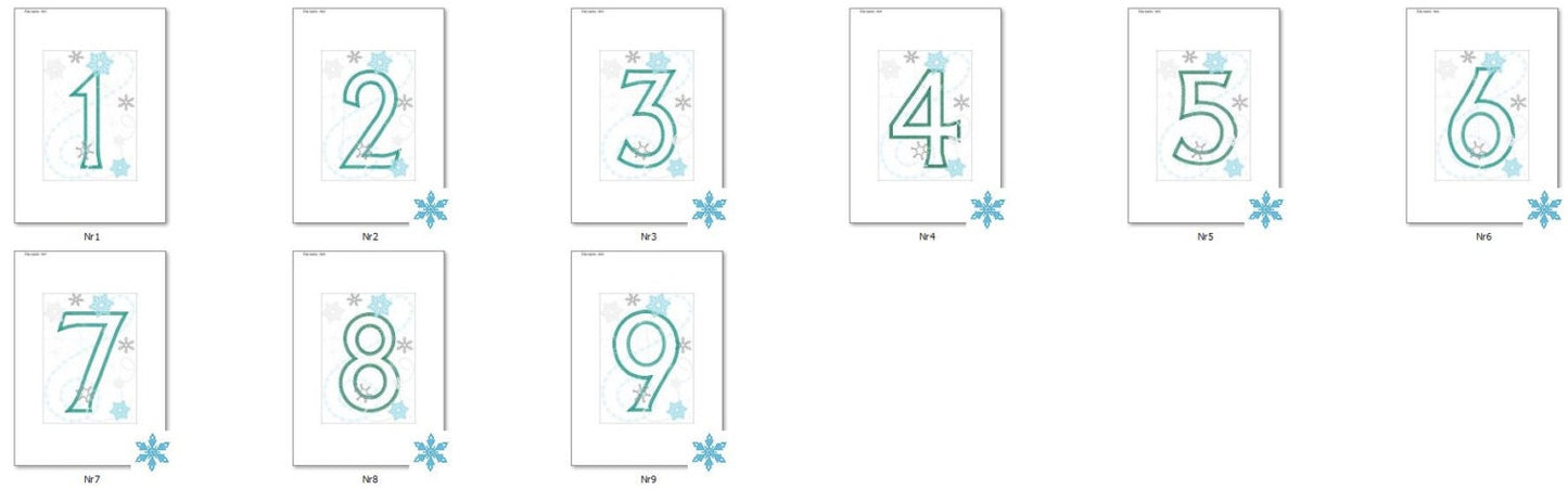Frozen Snowflake Birthday Numbers