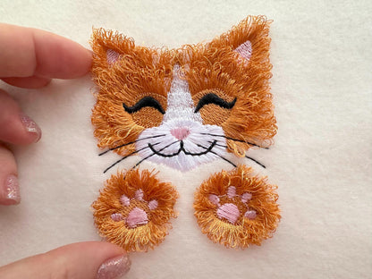 Adorable Little Fringed Kitten Kitty Cat