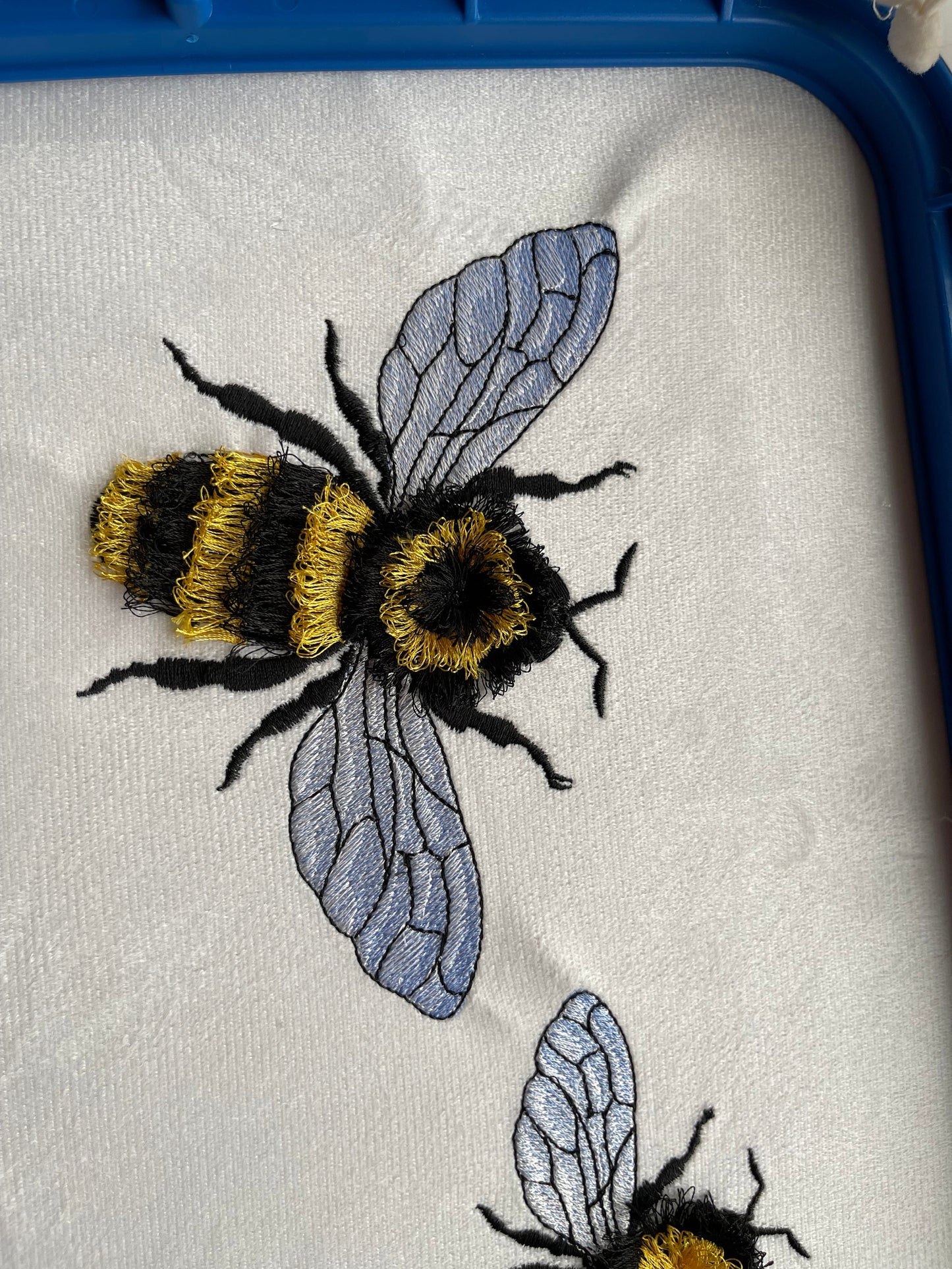 Fringed Bee Honeybee Iridescent Wings