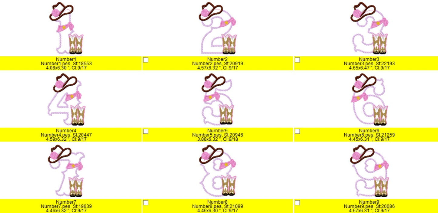 Lady Cowboy Birthday numbers whole set of numbers 1-9 Applique machine