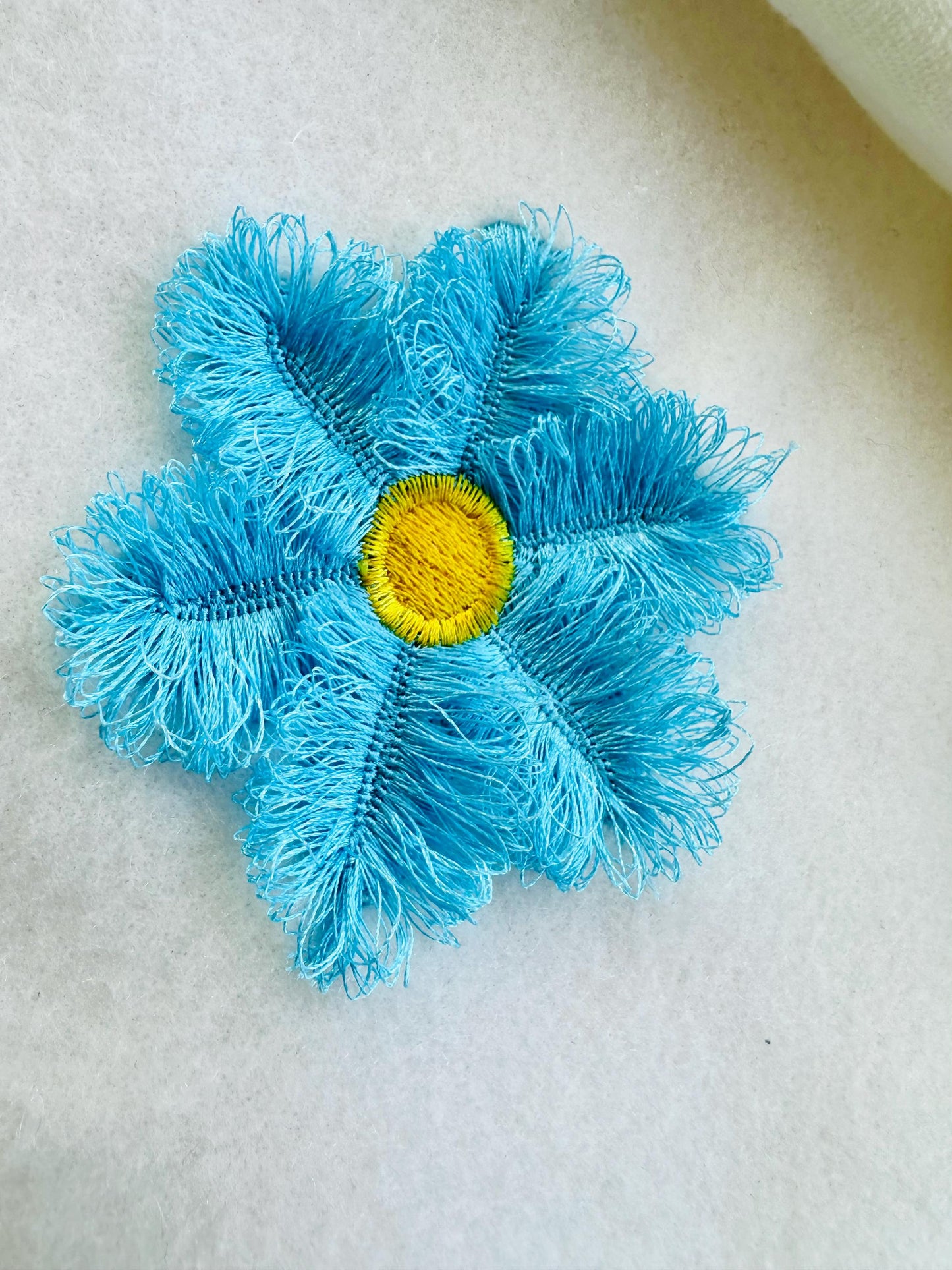 Single Fringed Daisy Flower