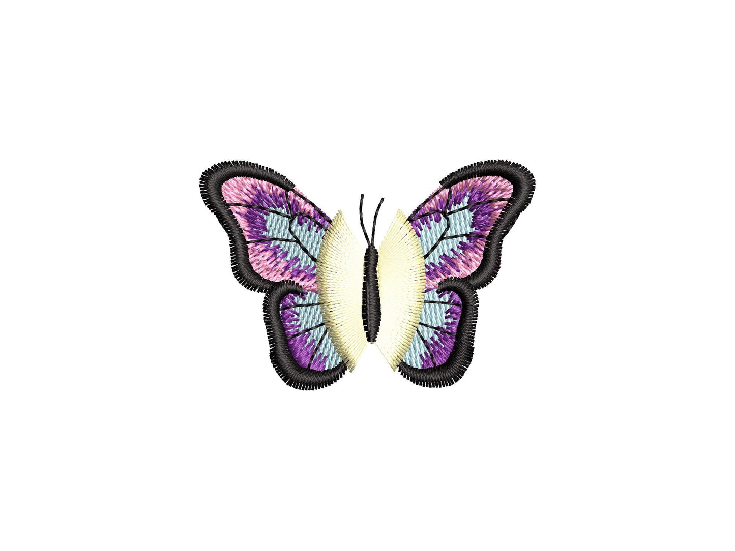 Mini Fringed Butterfly