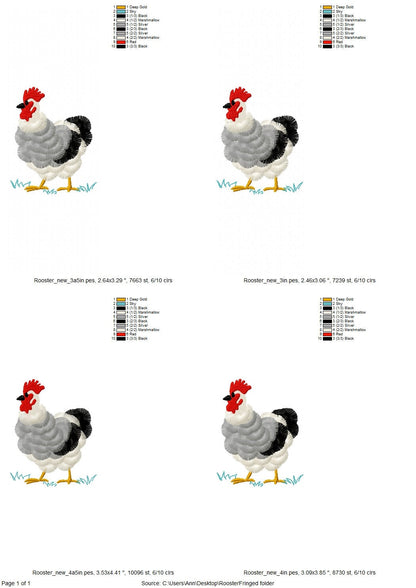 Fringed Farm Rooster