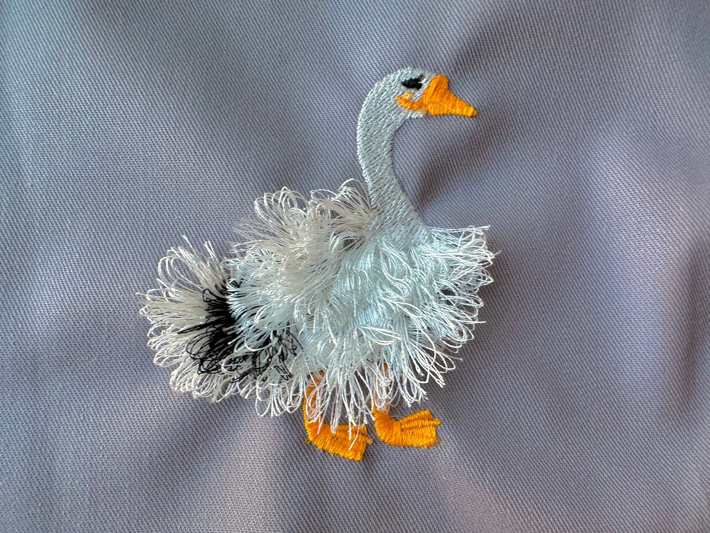 Fringed Goose Farm Bird