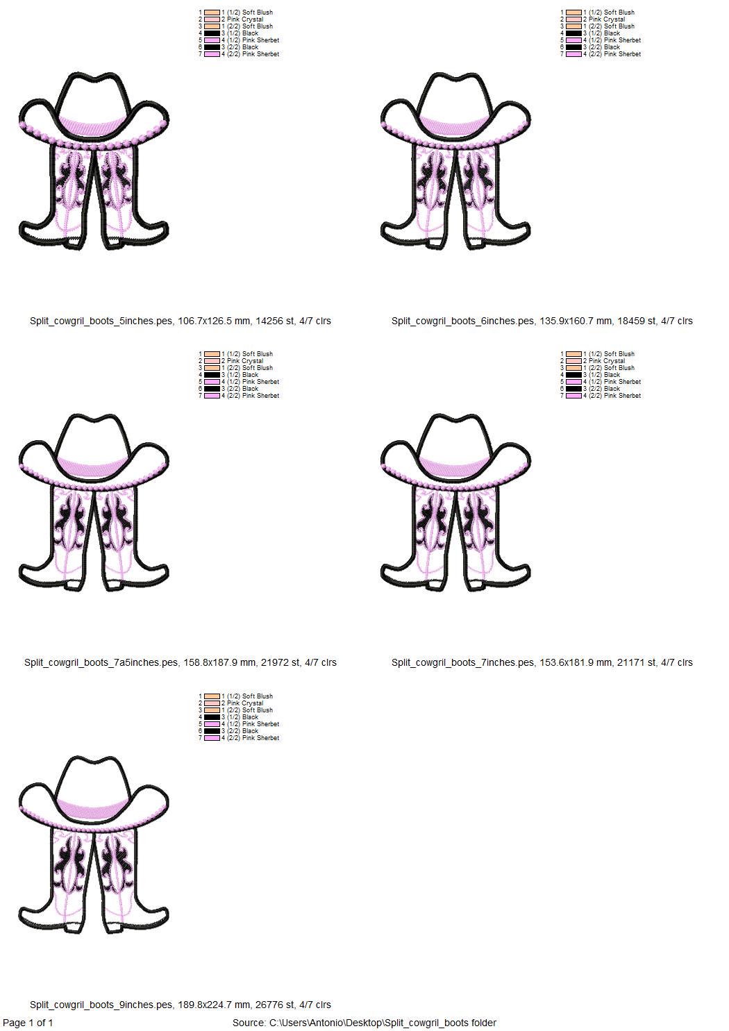 Cowgirl Cowboy Boots And Hat