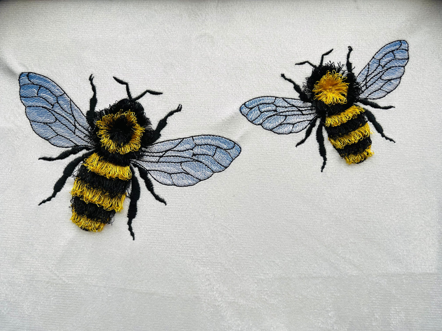 Fringed Bee Honeybee Iridescent Wings