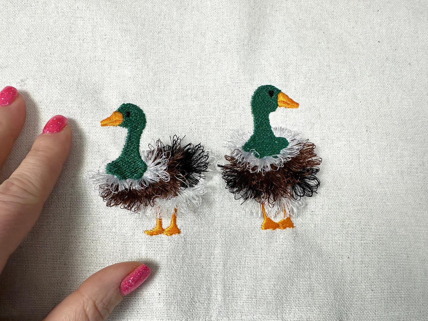 Fringed Duck Farm Bird