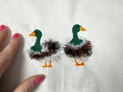 Fringed Duck Farm Bird