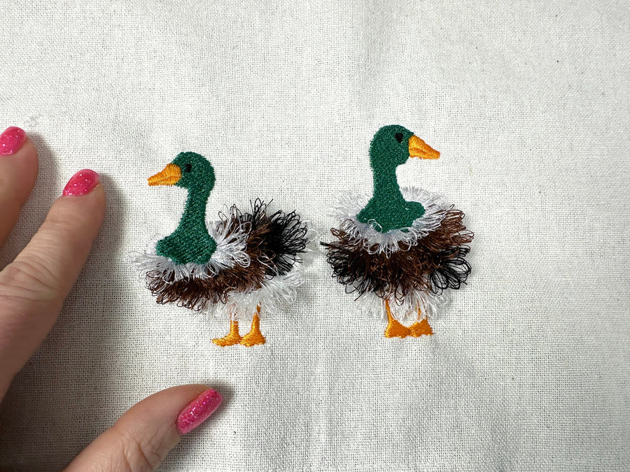 Fringed Duck Farm Bird