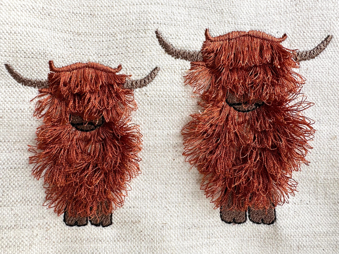 Fringed Longhorn Highland Cattle Cow