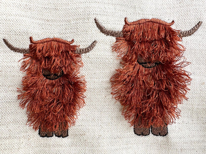 Fringed Longhorn Highland Cattle Cow