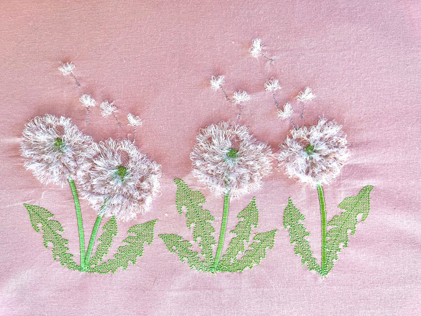 Fringed Dandelion Flower