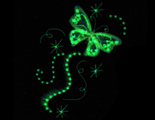 Magic Butterfly