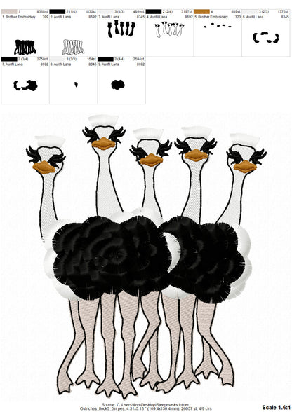 Fringed Ostrich Flock of 5