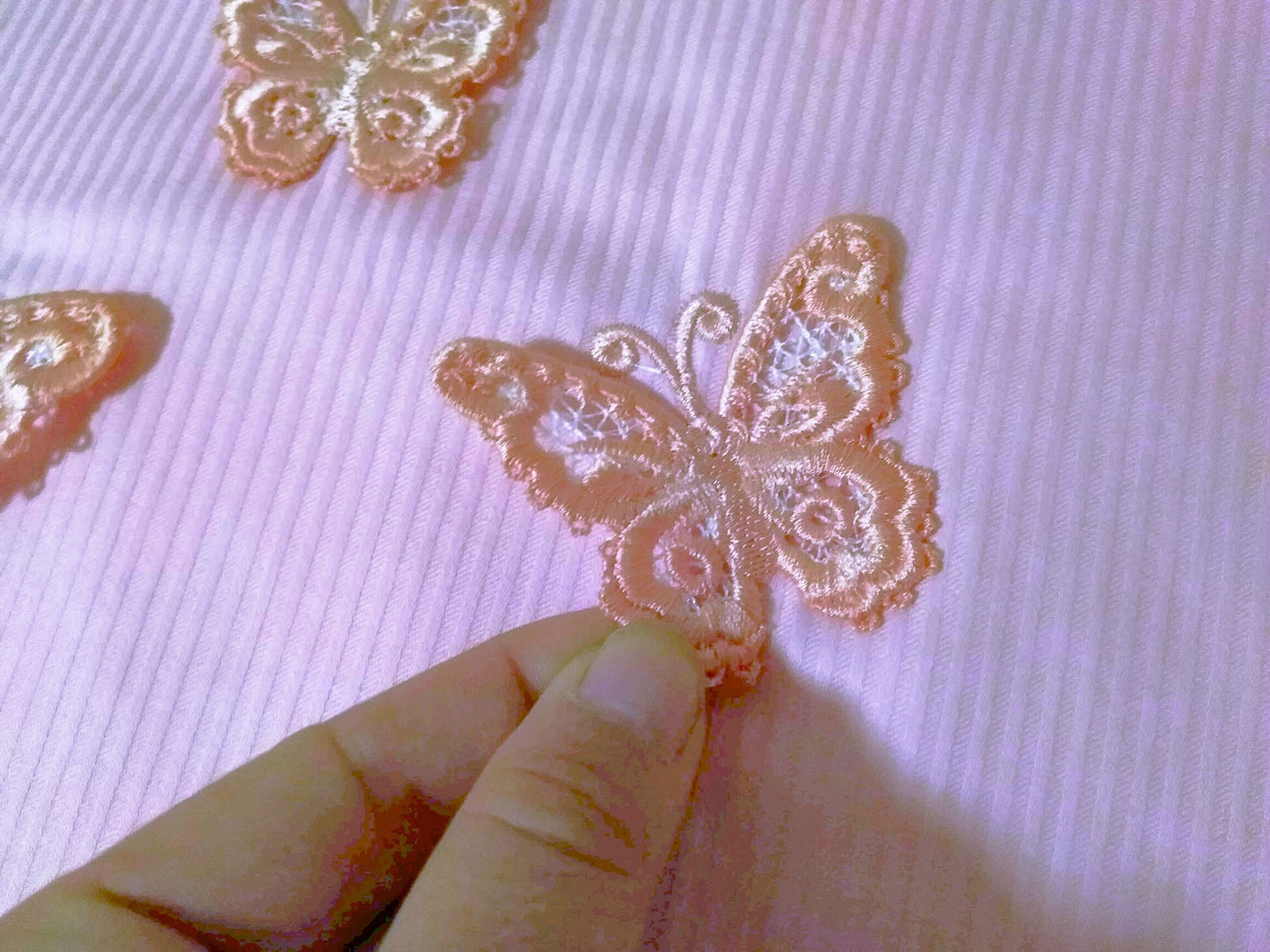 Delicate Butterfly 3D Dimensional FSL