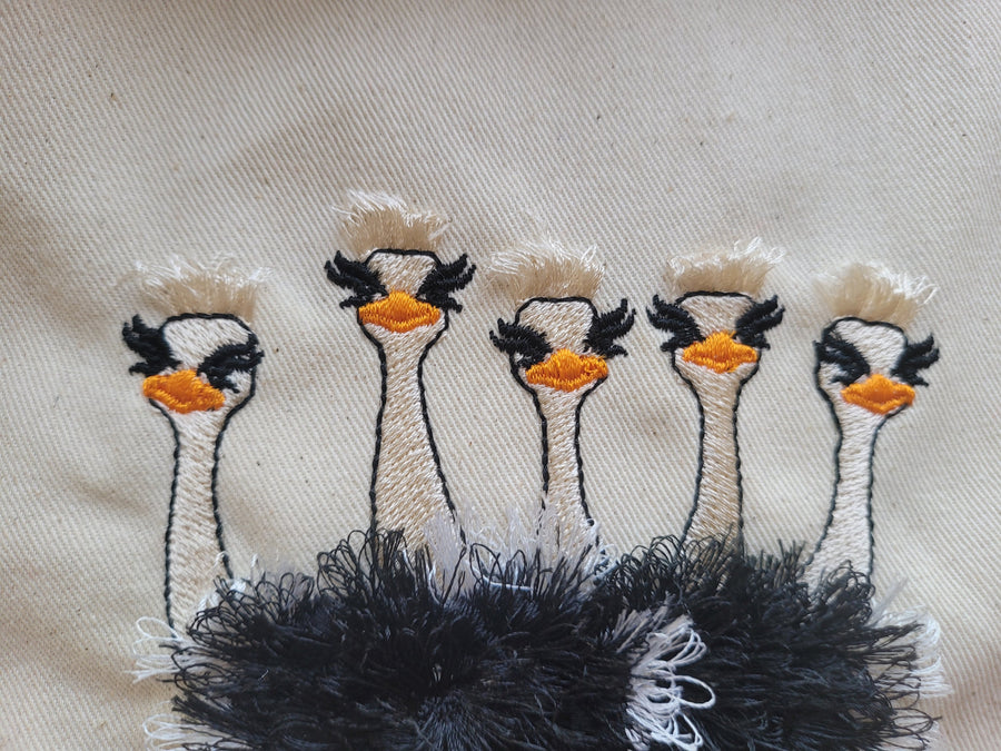Fringed Ostrich Flock of 5