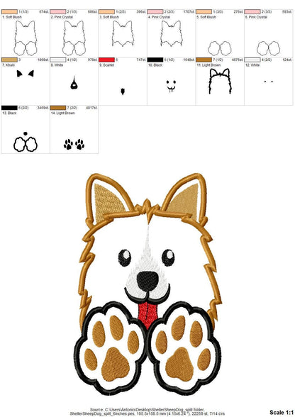 Shetland Sheepdog Sheltie Puppy