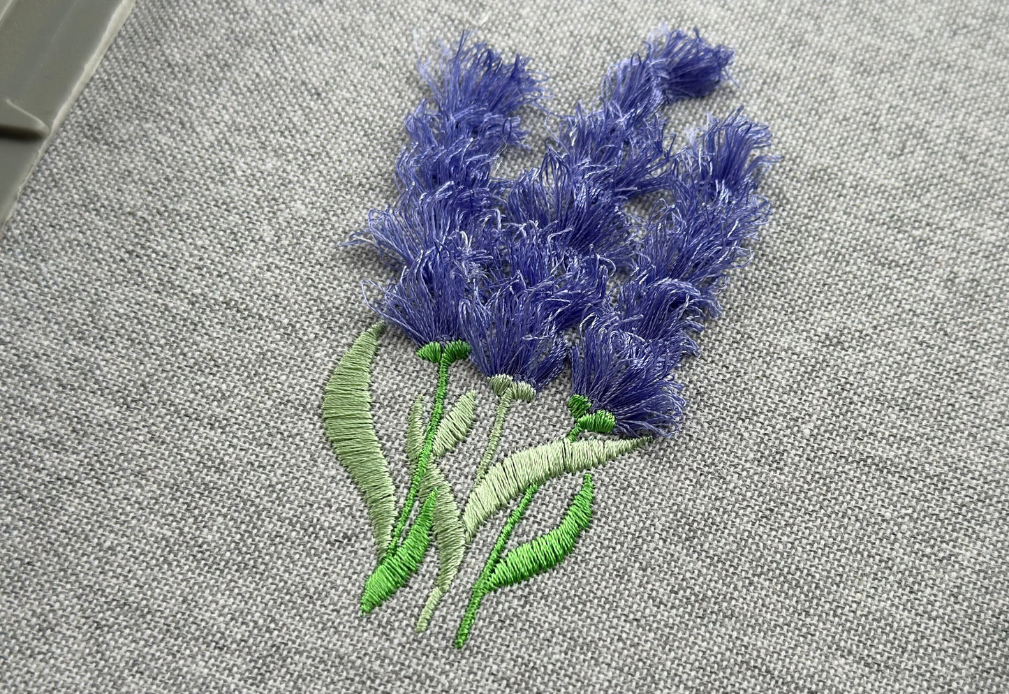Fringed Lavender Flower Stem