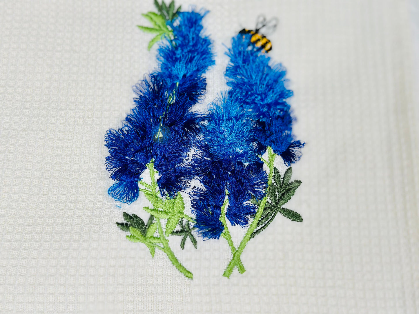 Bluebonnet Fringed Flower