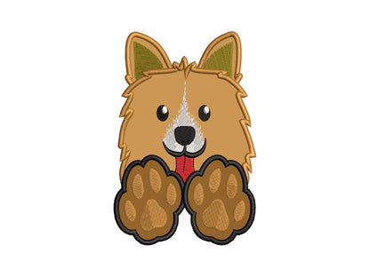 Shetland Sheepdog Sheltie Puppy