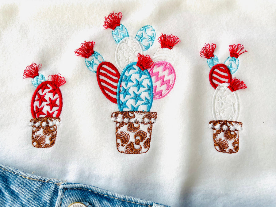 4th of July Patriotic Cactus Succulent