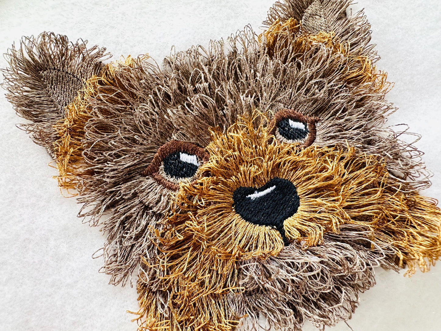 Fringed Little Puppy Yorkshire Terrier