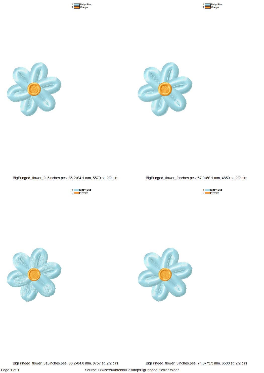 Single Fringed Daisy Flower