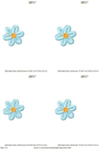 Single Fringed Daisy Flower