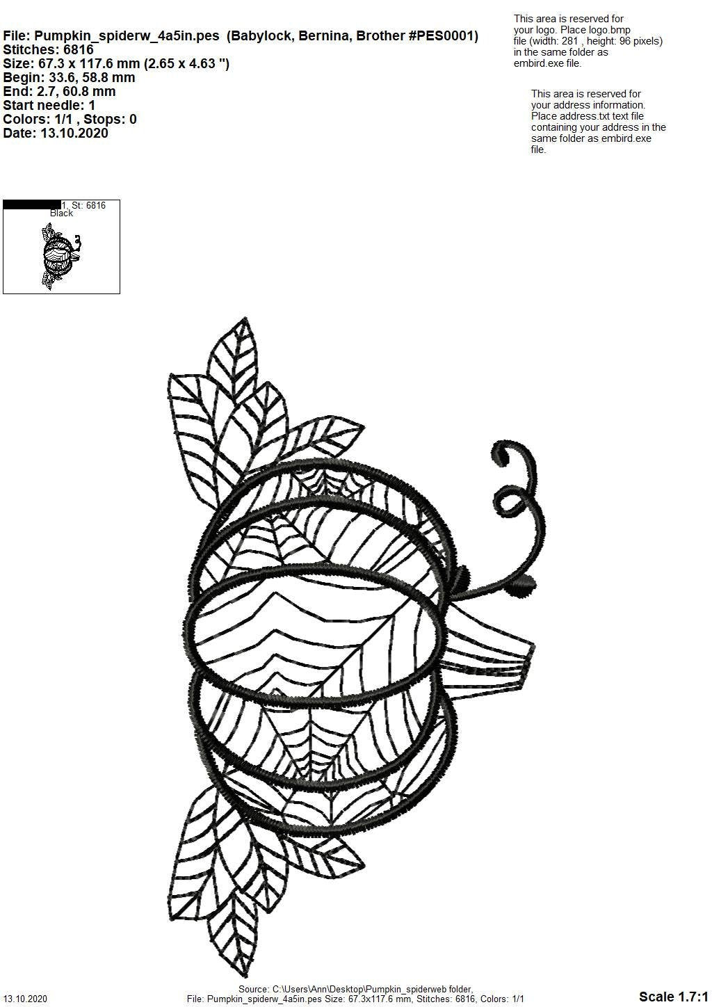 Halloween Spiderweb Pumpkin Outline