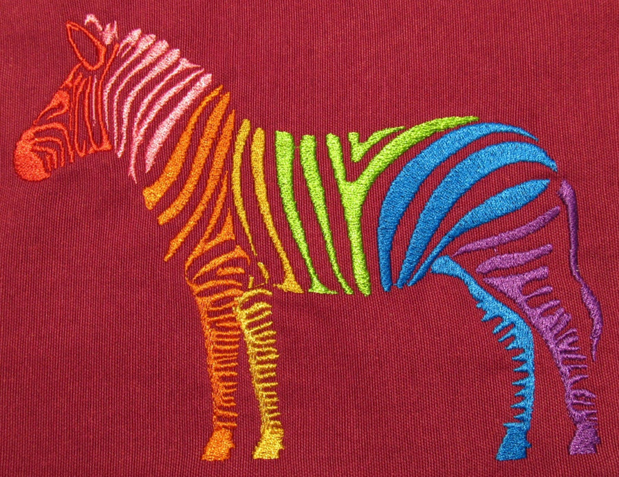Rainbow Zebra