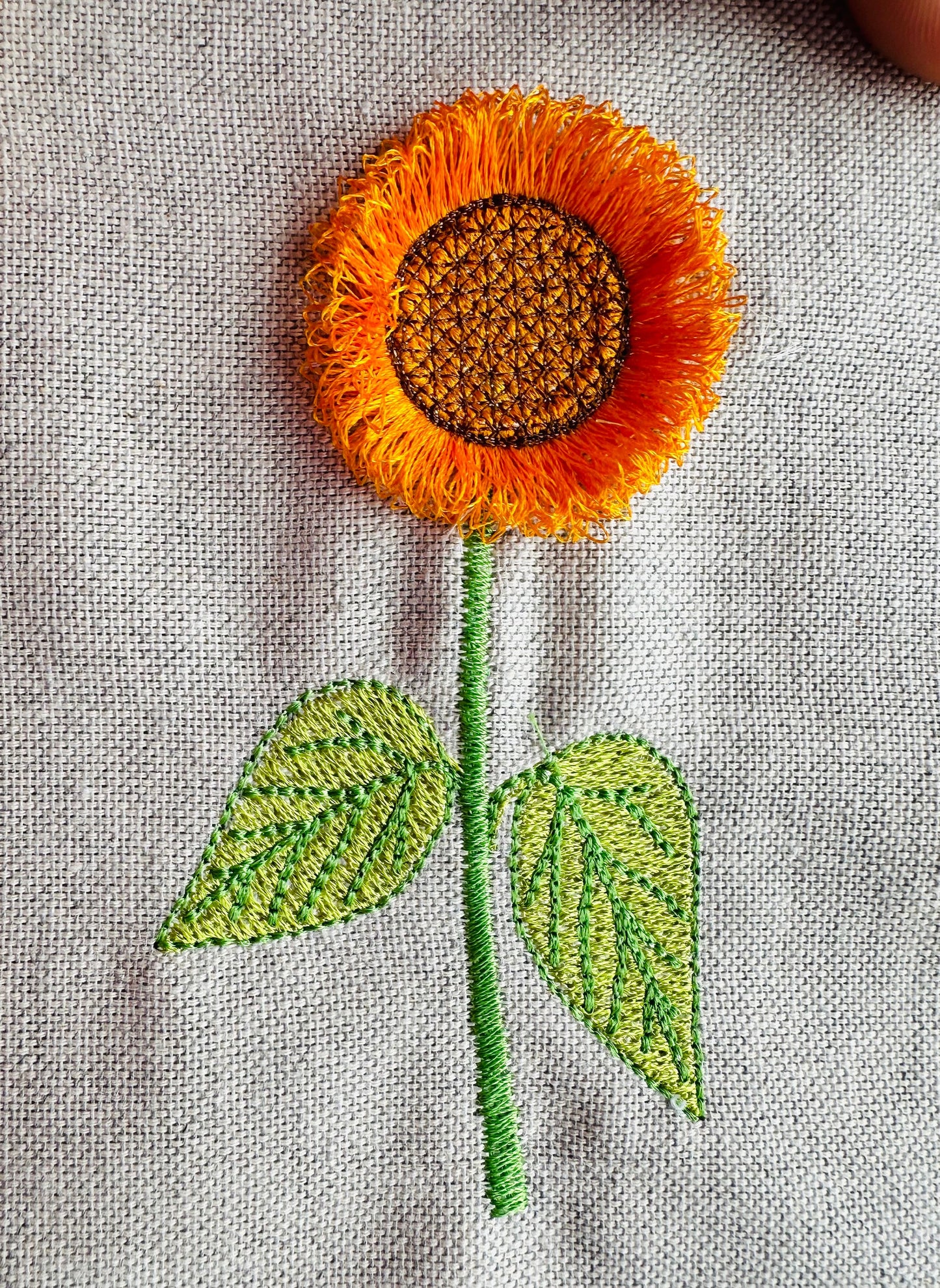 Sunflower Fringed Flower Stem