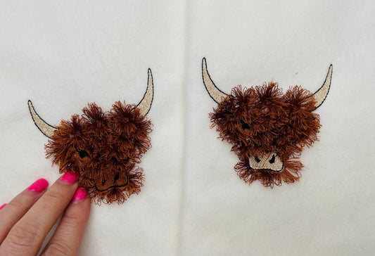 Fringed Highland Cattle Cow Scottish Breed