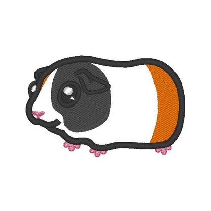 Cute Guinea Pig