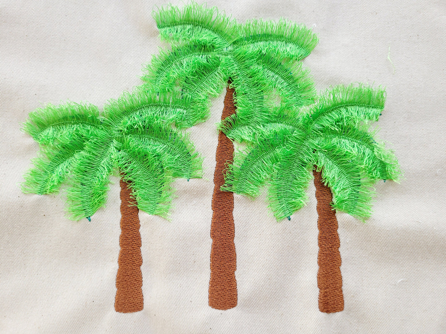 Three Fringed Palms in a row - image 1