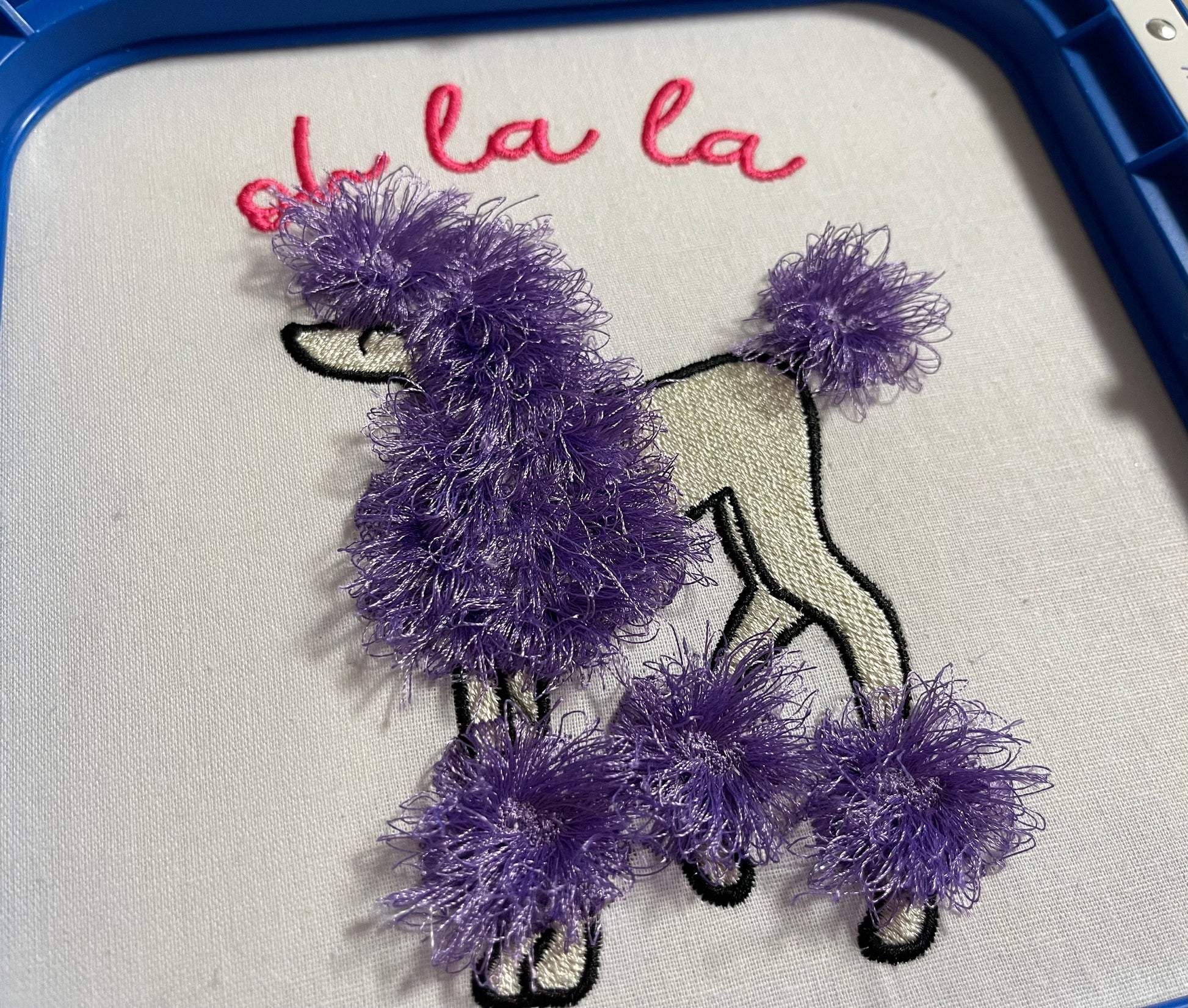 Oh la la Fringed Poodle