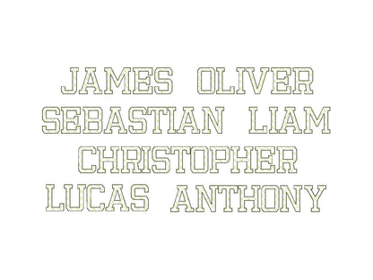 Quick light stitch Quilted FONT machine embroidery designs assorted sizes Quilt Alphabet letters and numbers boy name monogram, BX included