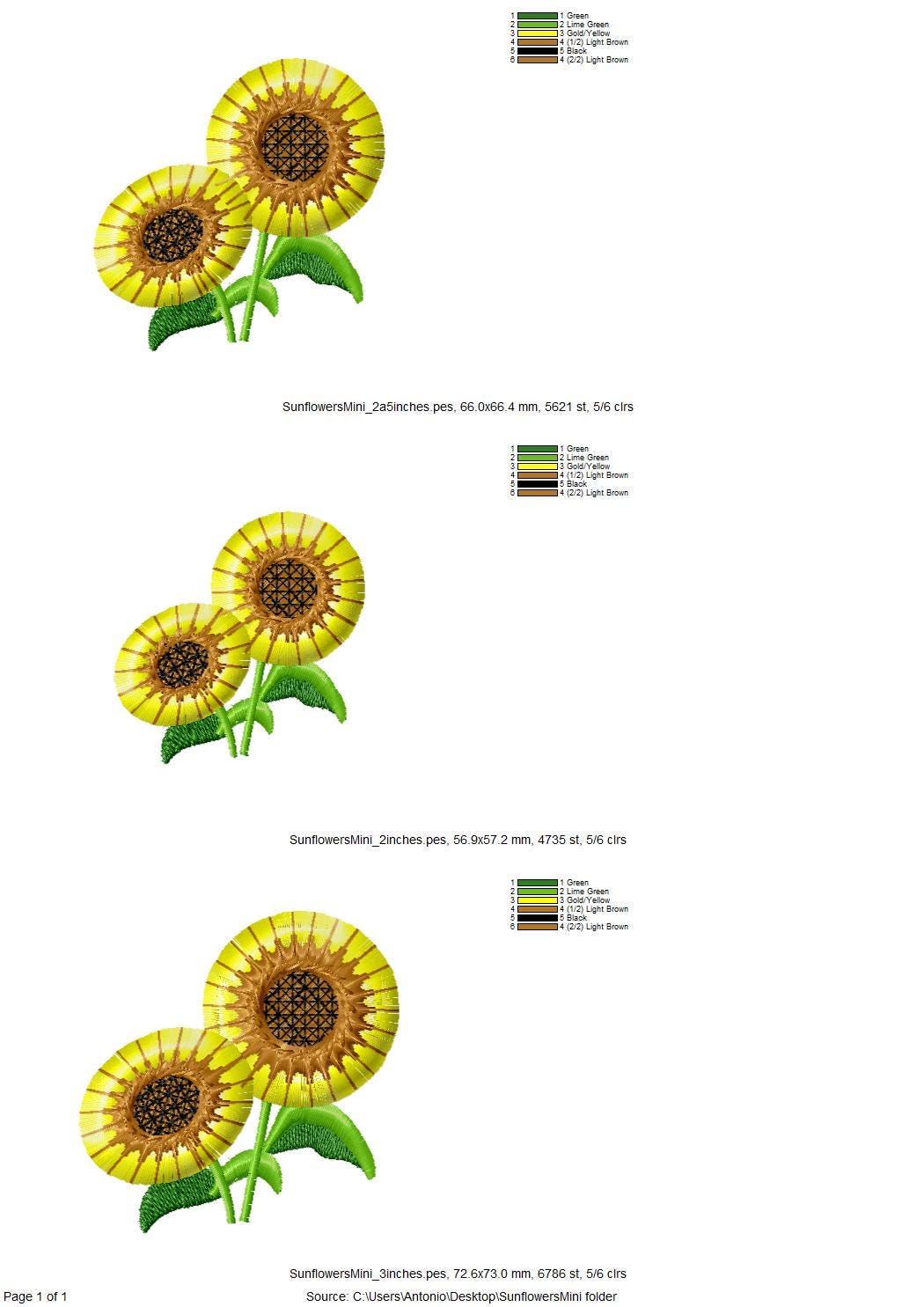 Two Fringed Sunflowers - image 3