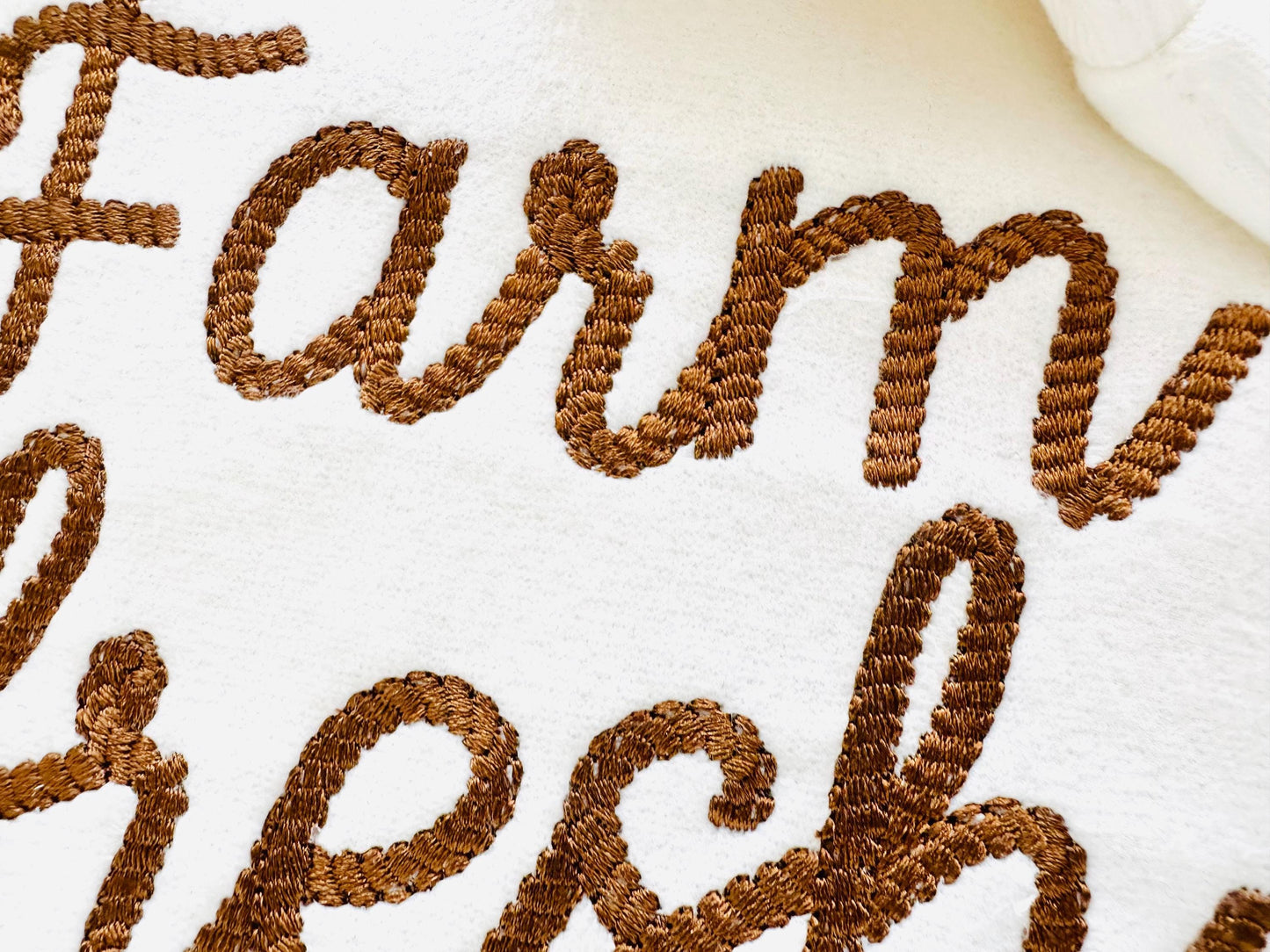 Rope stitch FONT Rodeo Cowboy Alphabet Monogram letters Machine Embroidery Designs handwritten script Font many sizes 1.7 up to 5.4in, BX