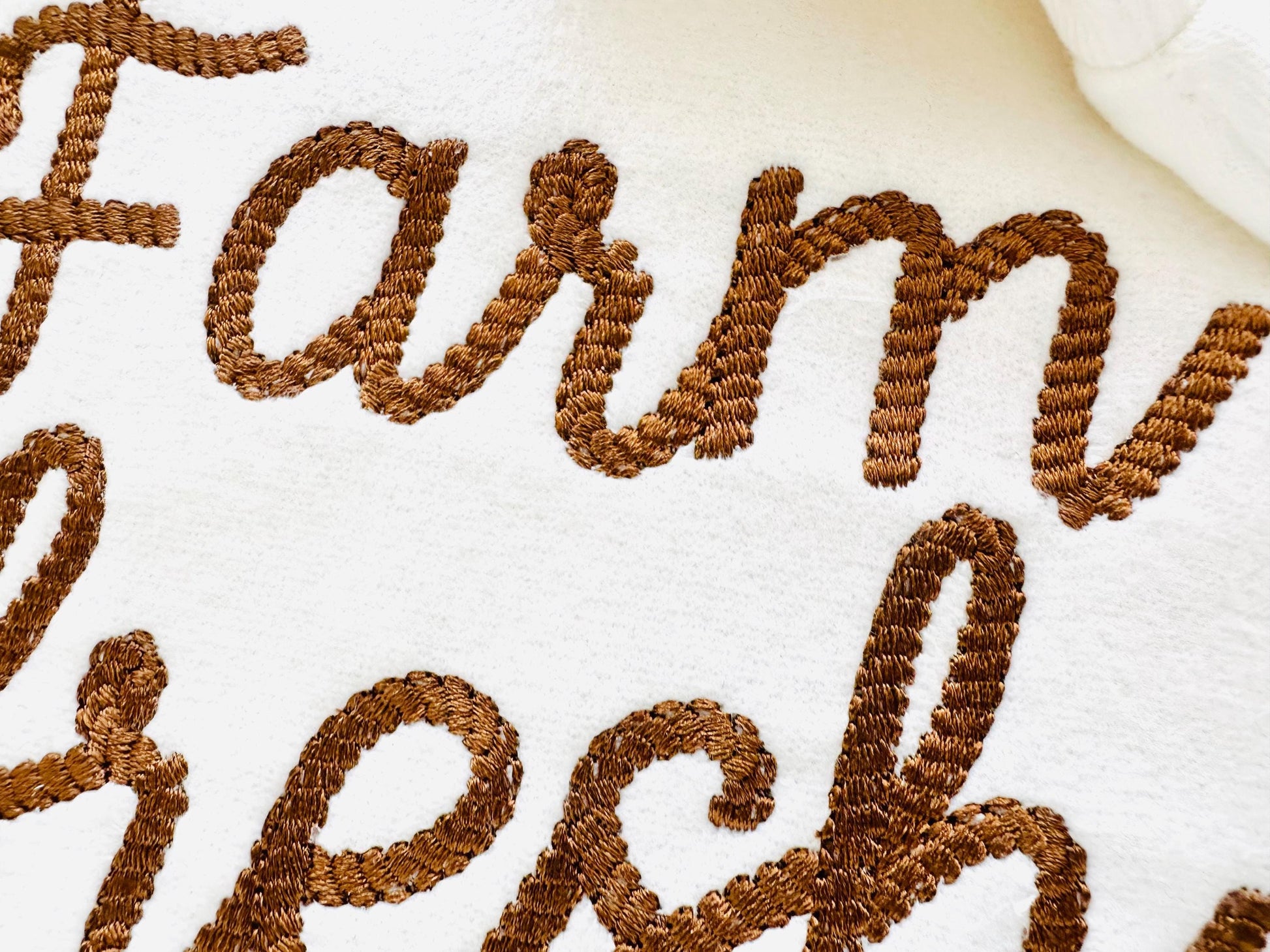 Rope stitch FONT Rodeo Cowboy Alphabet Monogram letters Machine Embroidery Designs handwritten script Font many sizes 1.7 up to 5.4in, BX