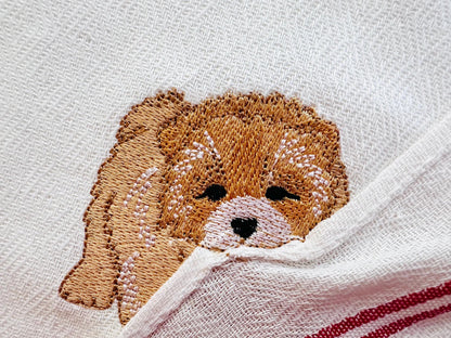 Cute Playing Little Chow Chow Puppy Dog Mama kitchen dish towel pet animal kids machine embroidery designs ITH project simply in the hoop