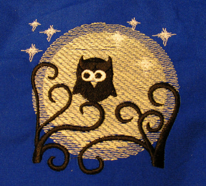 Magic Owl in Moonlight