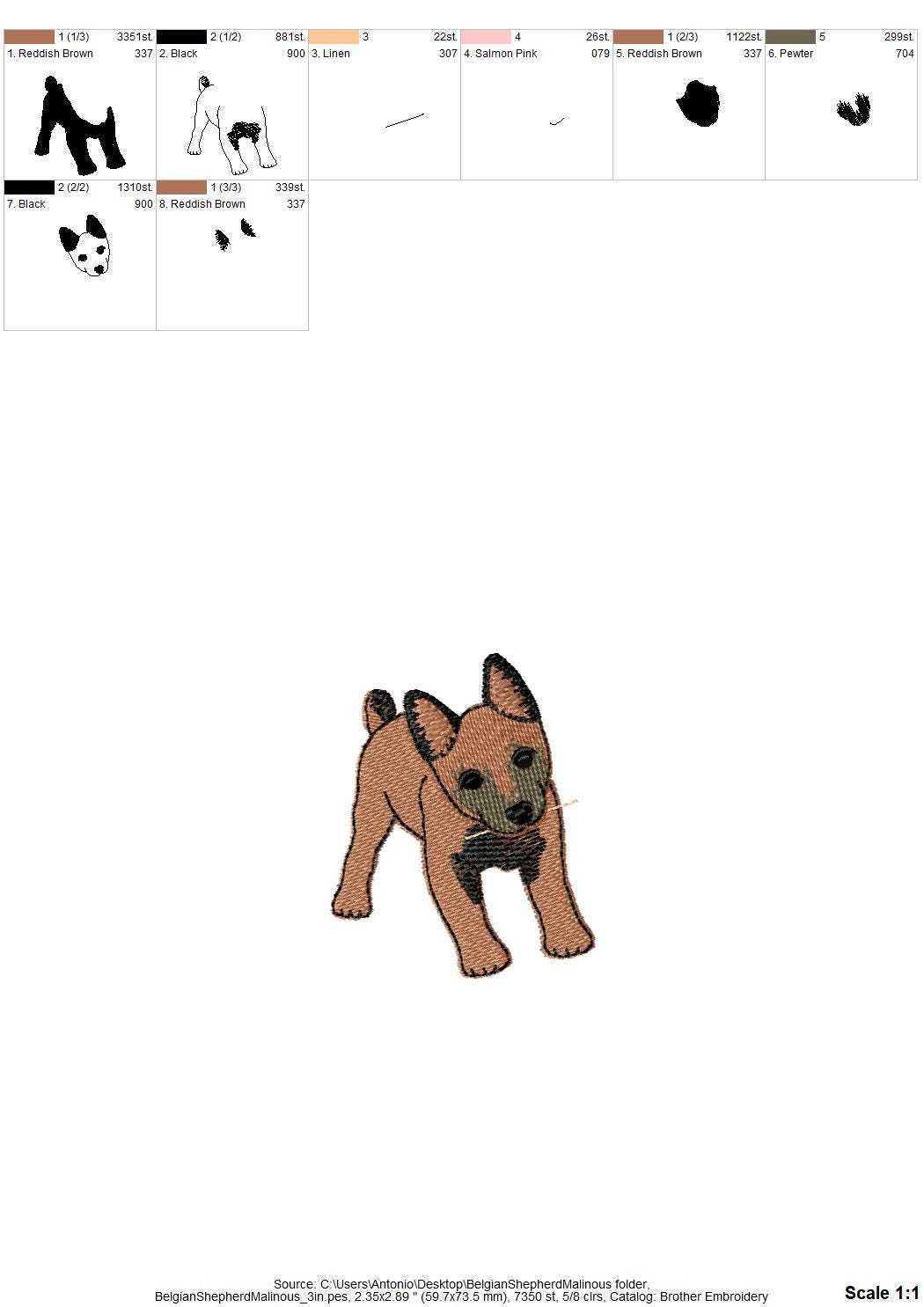 Playing Belgian Malinois Puppy Dog Mama kitchen dish towel pet animal Thief machine embroidery designs ITH