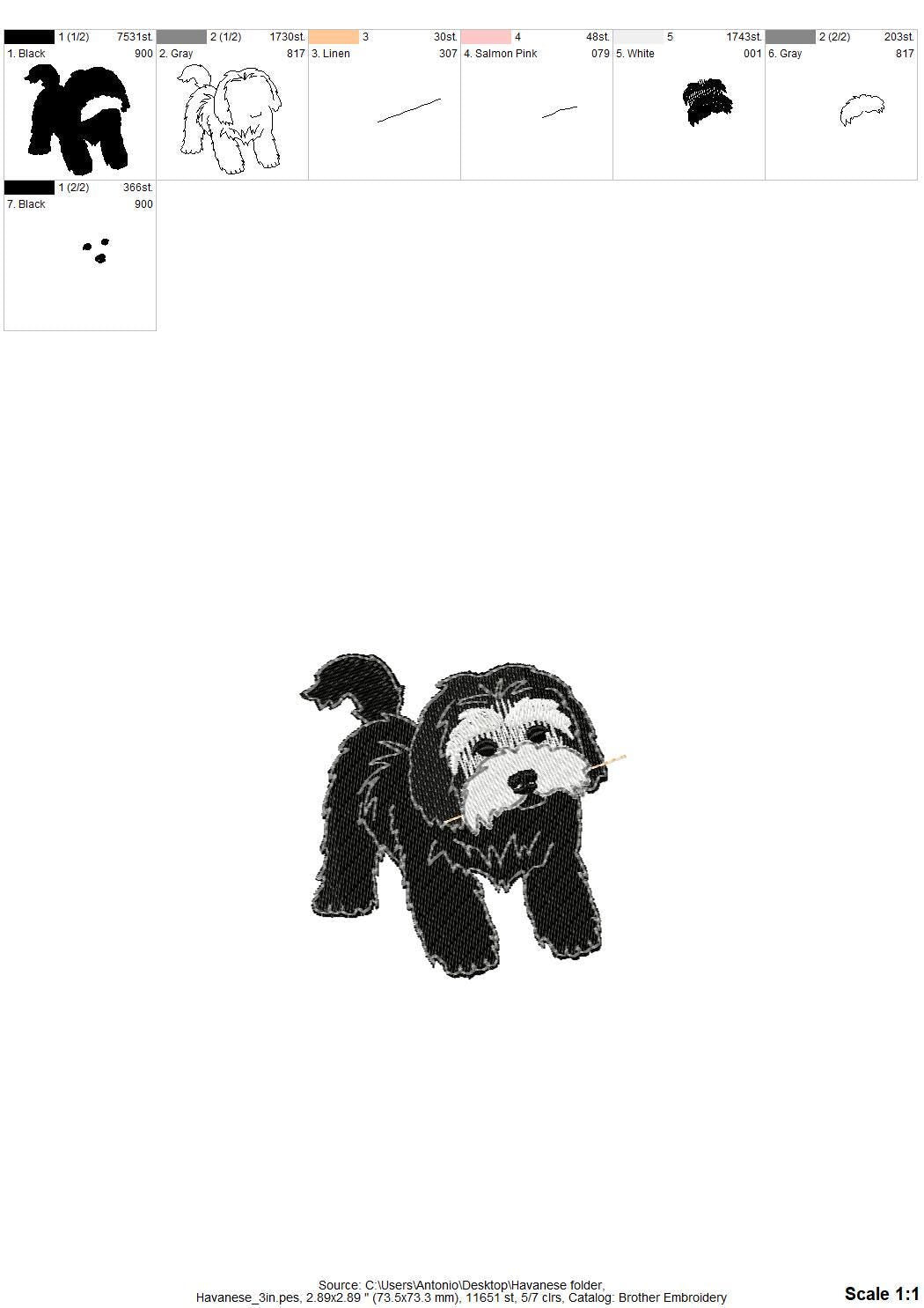 Playing Havanese Havanna Bichon Puppy Dog Mama kitchen dish towel pet animal machine embroidery designs ITH