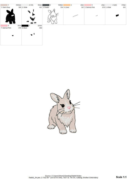 Playing Baby Bunny Rabbit kitchen dish towel animal Thief kids machine embroidery designs ITH